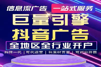 某行业领军企业的SEM广告投放策略